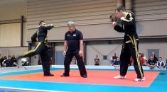 Martial Arts Show - Birmingham NEC